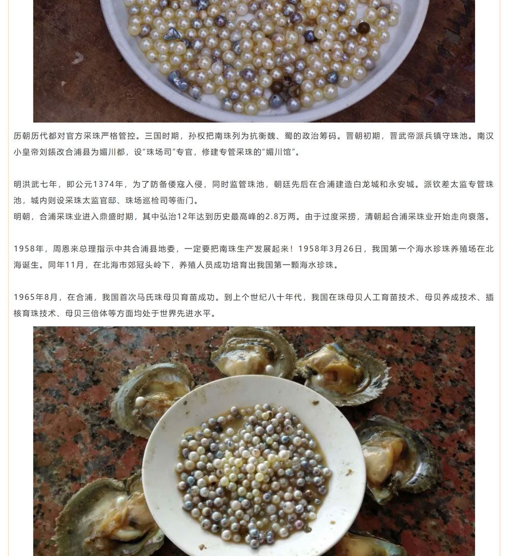 古老南珠，綻放異彩