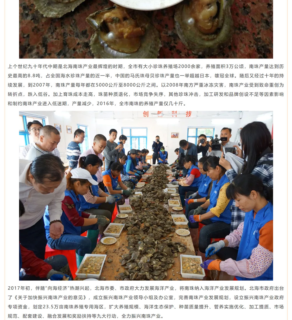 古老南珠，綻放異彩