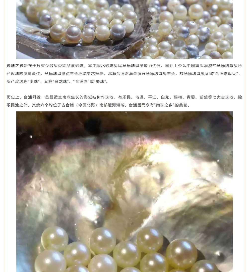 古老南珠，綻放異彩